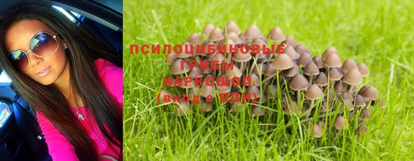 тгк Аркадак