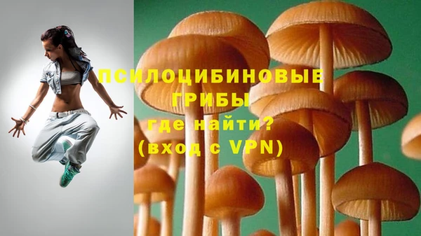 не бодяженный Армянск