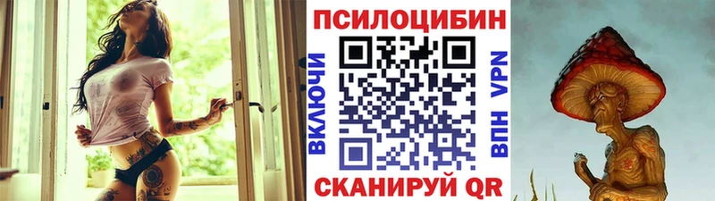 купить наркотики сайты  Славгород  Галлюциногенные грибы Magic Shrooms 